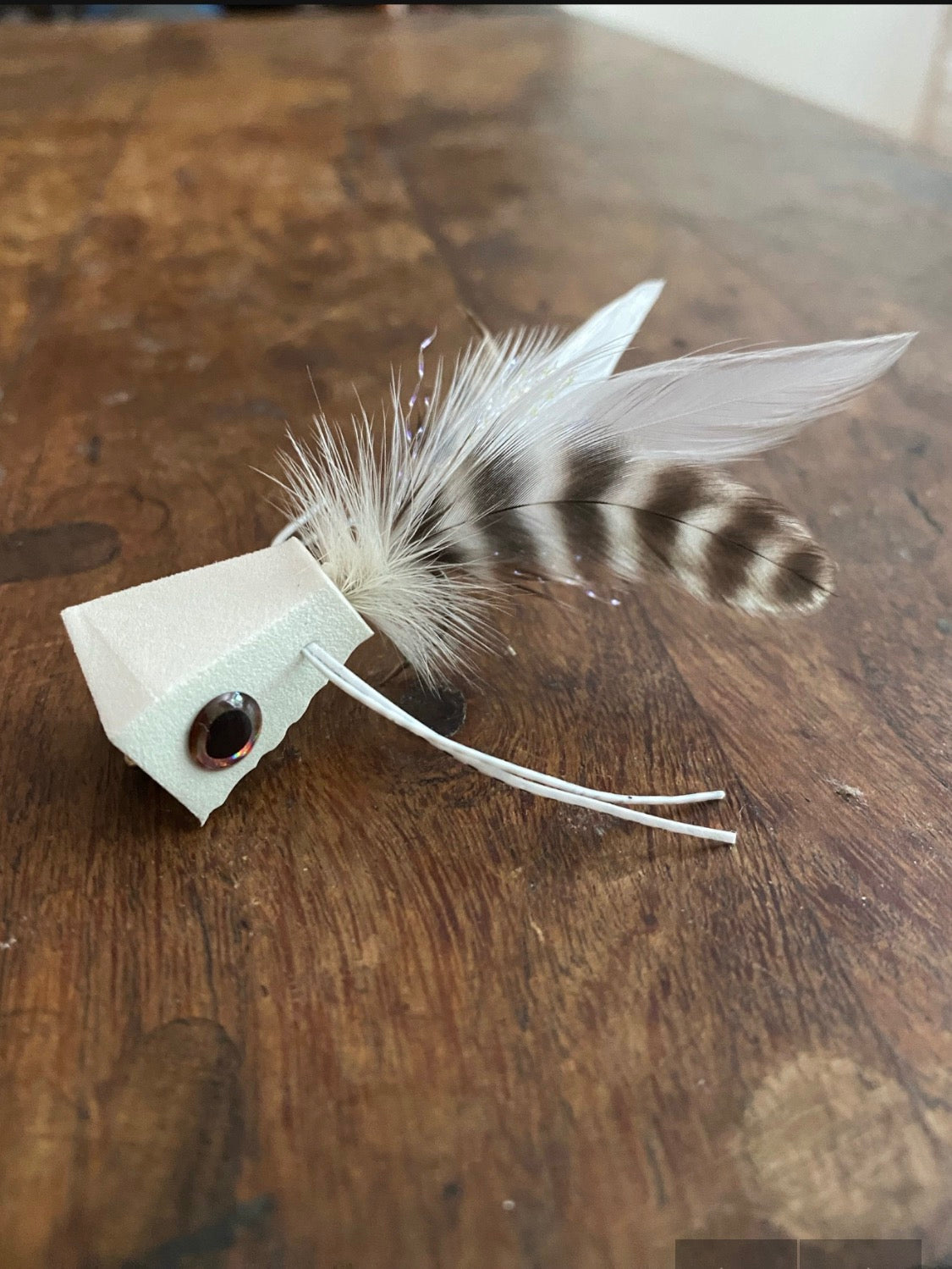Duck Lake Popper