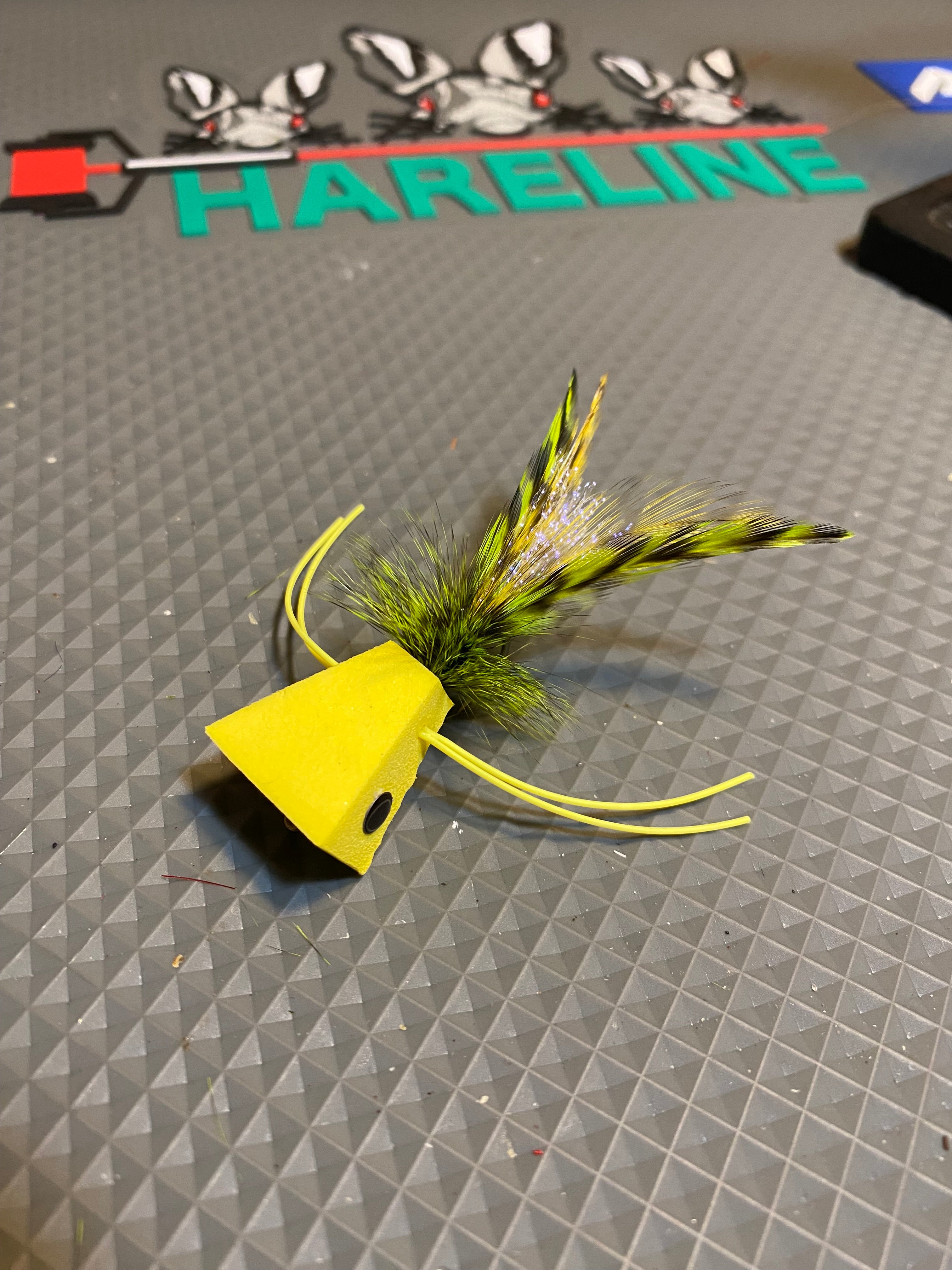 Duck Lake Popper